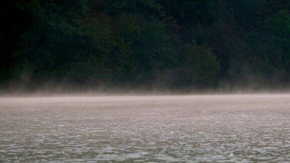清晨湖面上有薄雾