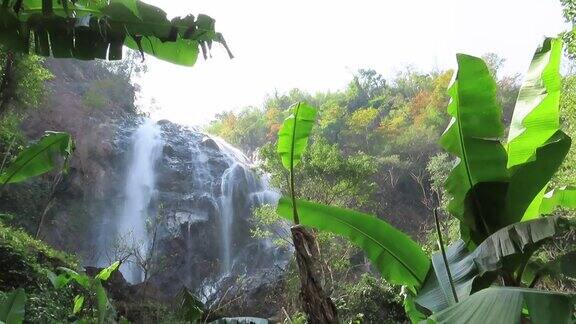 热带雨林中的瀑布