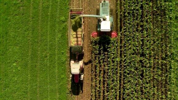 农民用机器收割玉米