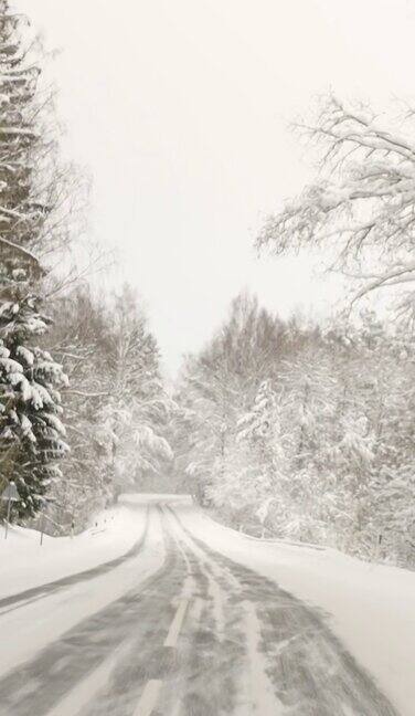 爱沙尼亚森林中路边厚厚的积雪垂直拍摄