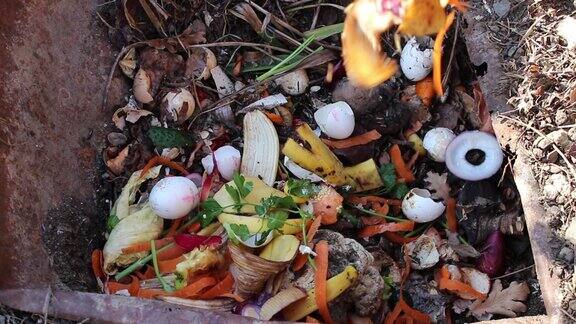 有机废物与蔬菜、水果和各种食物堆肥