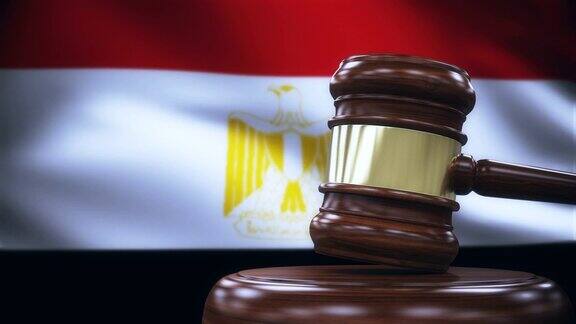 法官加维尔有埃及国旗背景