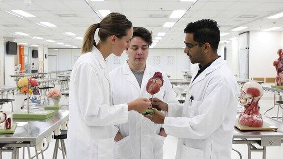 三个医学生在大学实验室合作