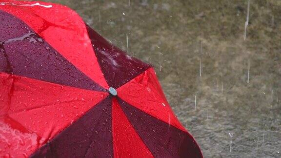 雨落在红伞上