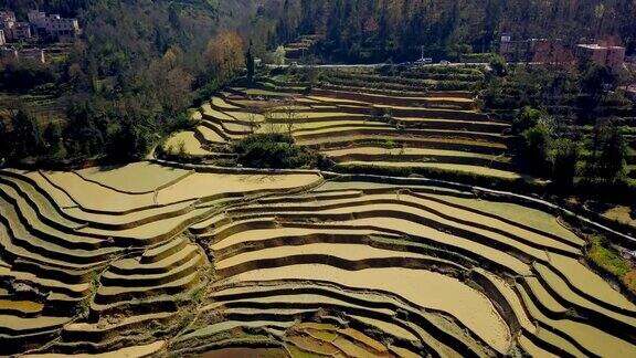 无人机在中国云南元阳稻田上空飞行