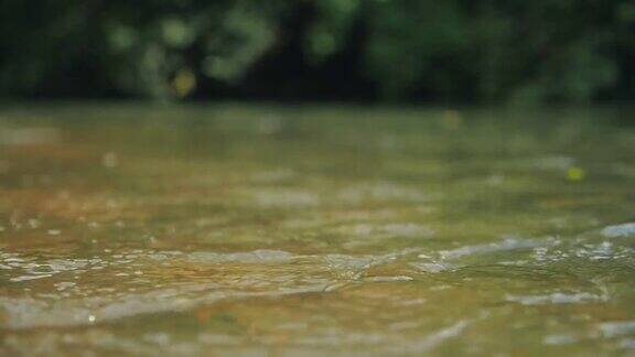 水清澈的小溪河流在森林深处流淌特写慢动作