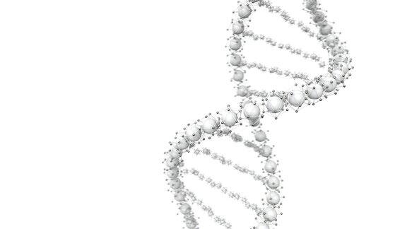 动画环状DNA链模型三维渲染