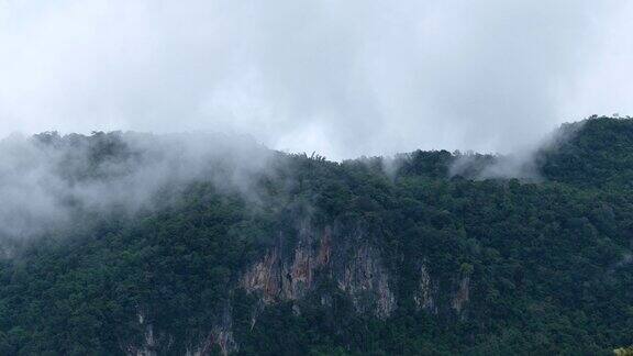 风景雾蒙蒙的绿叶热带雨林山脉和丘陵