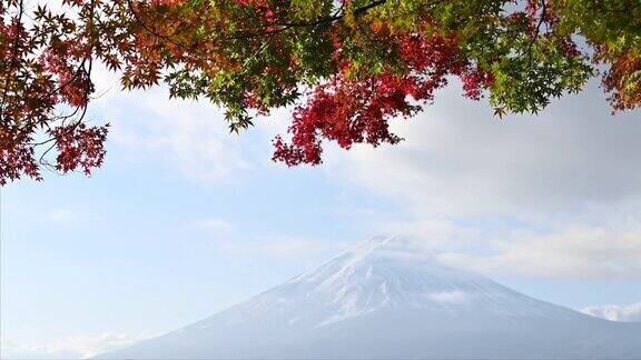 从川口湖眺望富士山是秋天著名的风景胜地