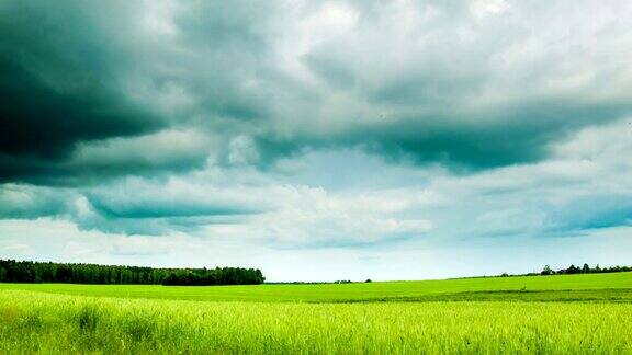 绿野与阴云时间流逝