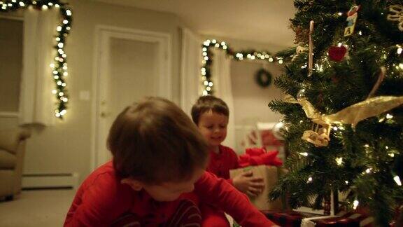 两个年轻(三岁和五岁)的白人男孩在圣诞节跑到圣诞树和兴奋地从圣诞树下捡圣诞礼物