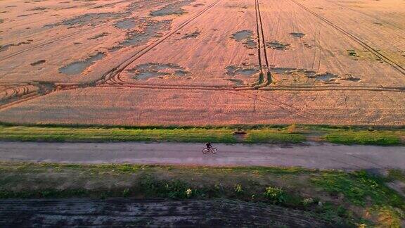 一个男人在日落时骑着自行车沿着黄色的麦田和绿色的田野