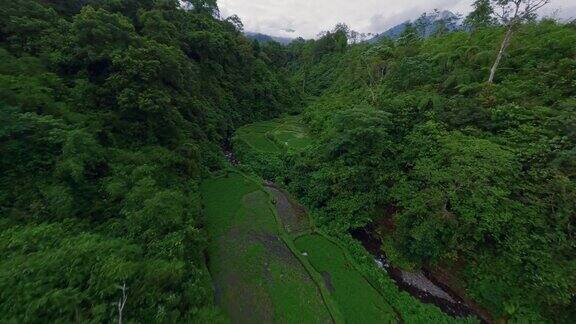 鸟瞰峡谷河流池塘瀑布电影般的绿色热带雨林丘陵梯田