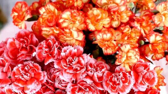 花束旋转花卉组成由亮黄色橙色和粉红色的土耳其康乃馨