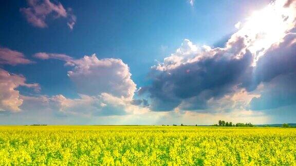 油菜田壮观的天空延时拍摄
