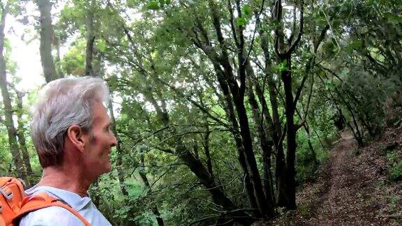 雄性徒步旅行者攀登穿过落叶阔叶林的小径