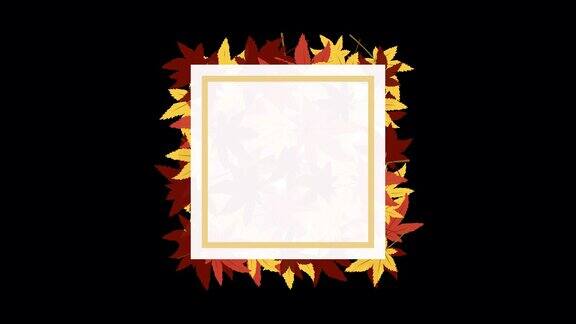 这是一个旋转的方形帧动画动画的落叶与主题的秋天的叶子Loopable