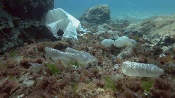 热带鱼游过覆盖着大量塑料垃圾的海底