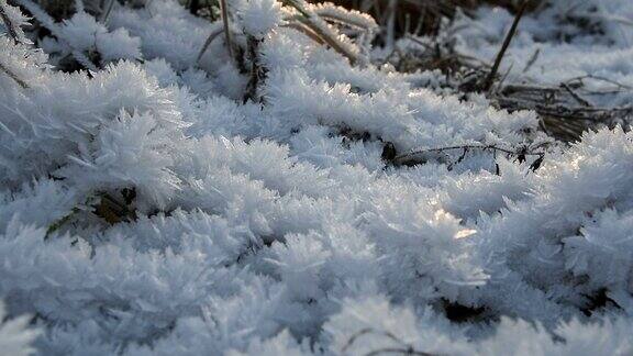 覆盖着冰晶的干草