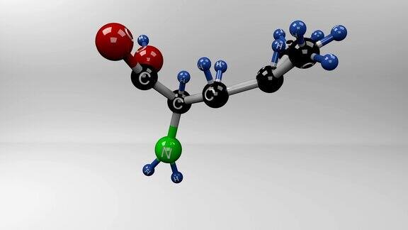 亮氨酸分子