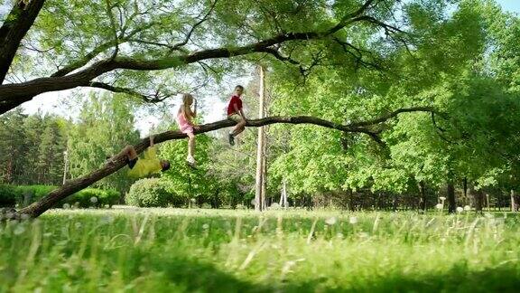 从下向左追踪拍摄的三个顽皮的孩子两个女孩和男孩爬上树和坐在绿色公园的树枝上