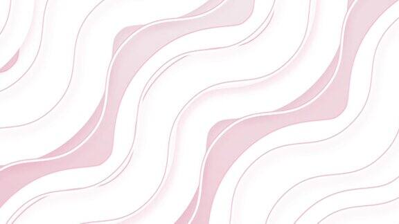 简单抽象波浪潮流美丽的白色曲线流动背景4k