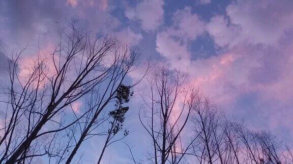 日落日出天空与山和树