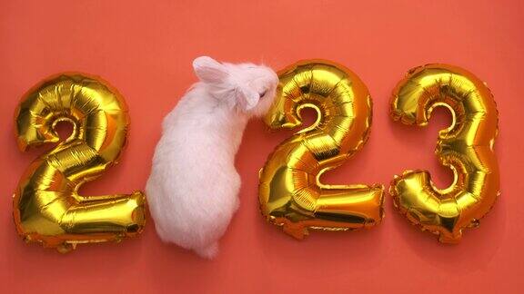 橙色背景上平放着数字2023形状的金色充气气球兔年白兔而不是零新年快乐贺卡