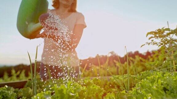 女人在花园浇水慢镜头