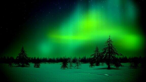 北极光在森林循环