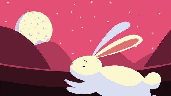 可爱的兔子与满月的性格