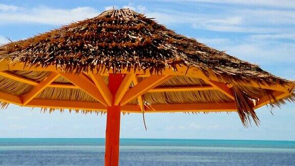 热带海滩伞