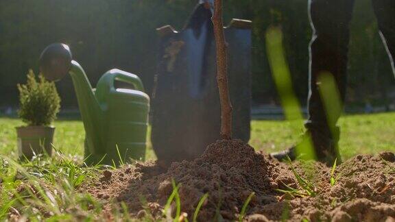 志愿者在草地泥土上植树铲子洒水壶