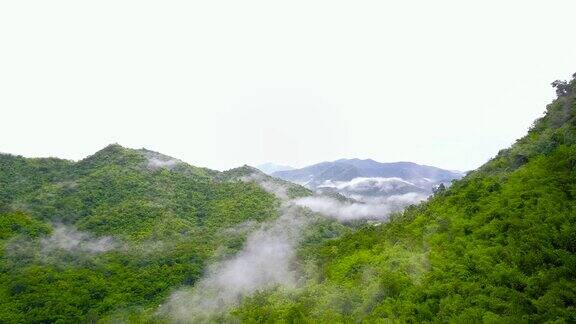 航拍:泰国热带雨林的晨雾