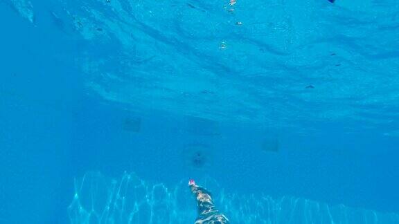 沉默Vs.NOICE水下拍摄的清澈的蓝色水和游泳者的影子