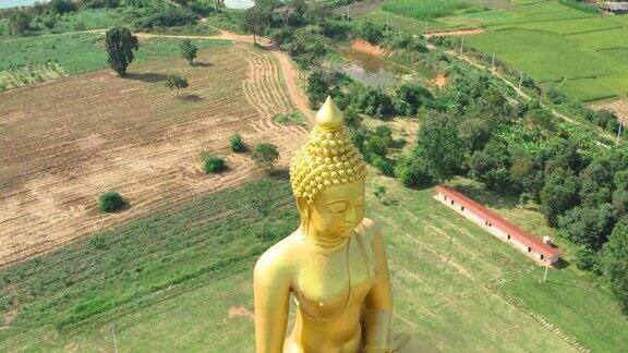 泰国清迈省清莱的大金佛雕像