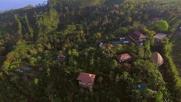 热带森林和居住村庄的鸟瞰图巴厘岛印度尼西亚