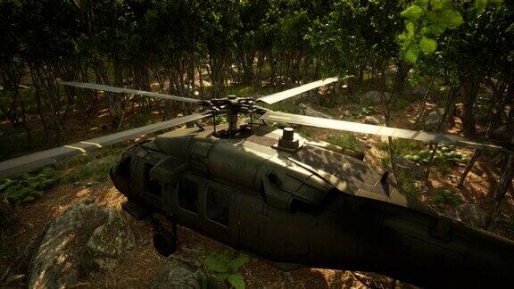 丛林深处的军用直升机