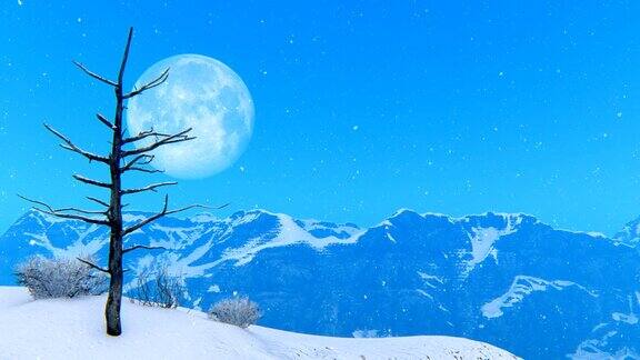 光秃秃的树映衬着月亮和雪山