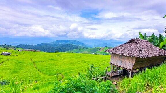 4k时光流逝在美丽的一天里泰国北部清迈美湛papongpineng令人惊叹的景观梯田