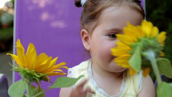 小女孩在后院和向日葵在户外玩耍的肖像闻着香味面带微笑