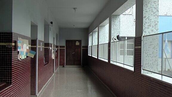 阿根廷COVID-19封锁期间鸽子坐在布宜诺斯艾利斯一所公立学校空走廊的栏杆上