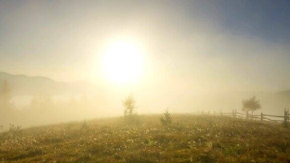 山中有雾的早晨