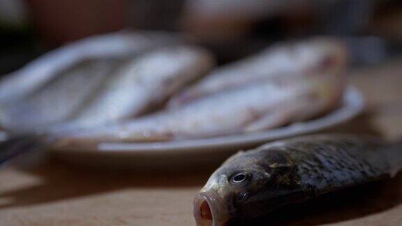 新鲜的河鱼鲫鱼躺在盘子里变焦