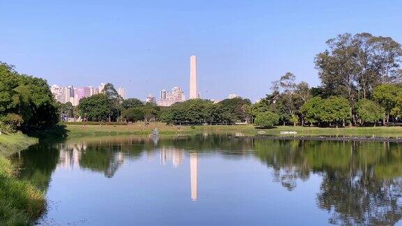 一只白鹭在湖边低低地飞翔