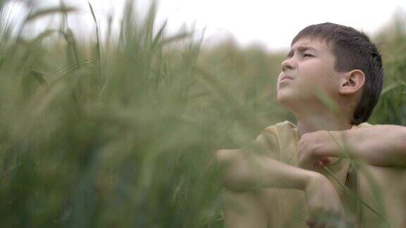一个严肃的男孩端坐在田野里望着天空