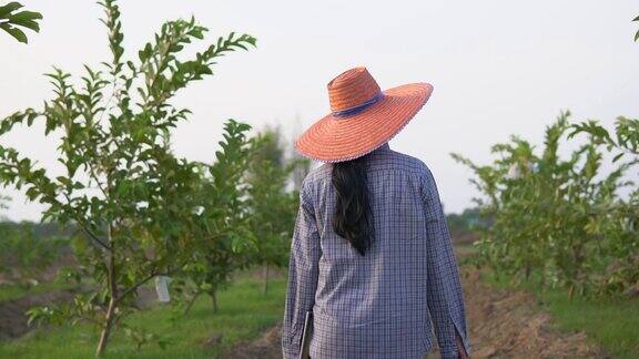 年轻的女农民在灌木丛中行走慢动作