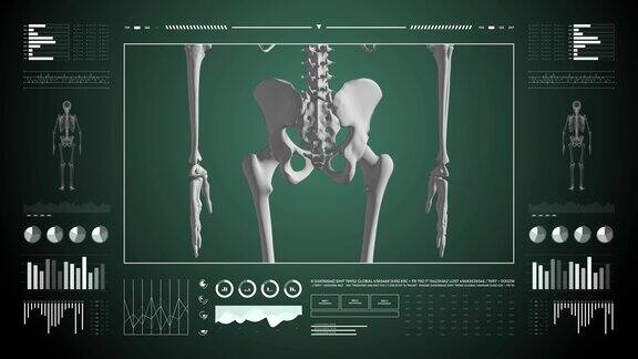 医用超高清抽象动画实验室仪表板界面人体骨骼研究的诊断计算机显示