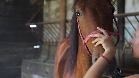 一个年轻女子在照顾她的马