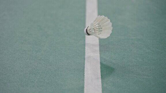 “羽毛球精神”比赛室内